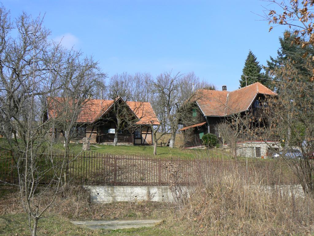 Country House Stoljetna Vila Seona Eksteriør bilde